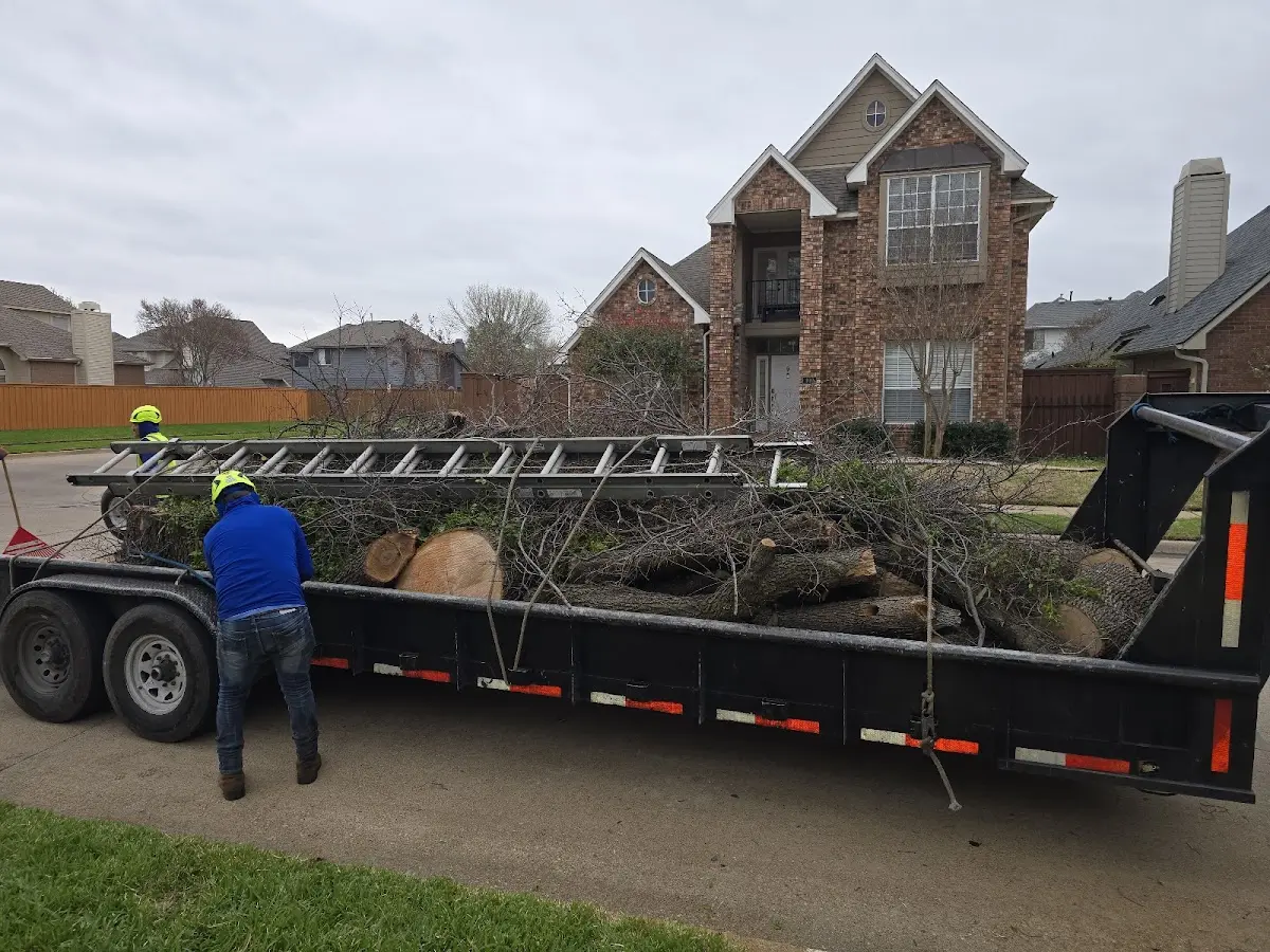 Expert Tree Fertilization with proper safety equipment in Walnut Shade